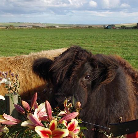 Bed and Breakfast Carrig Lios Thurso Exteriér fotografie
